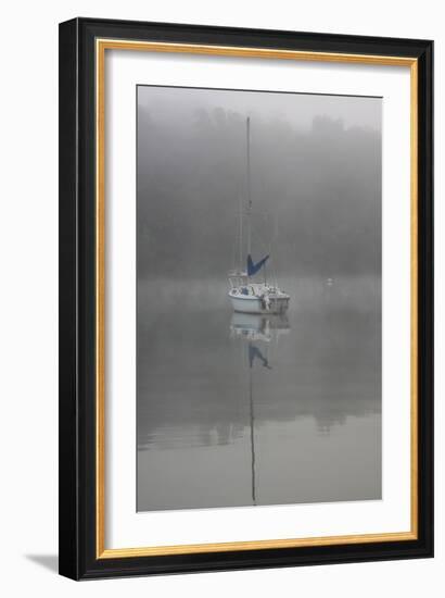 Blue Sail-Tammy Putman-Framed Photographic Print