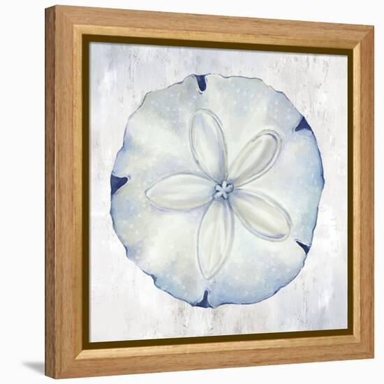 Blue Sand Dollar-Eli Jones-Framed Stretched Canvas