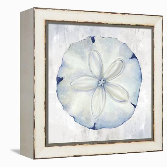 Blue Sand Dollar-Eli Jones-Framed Stretched Canvas