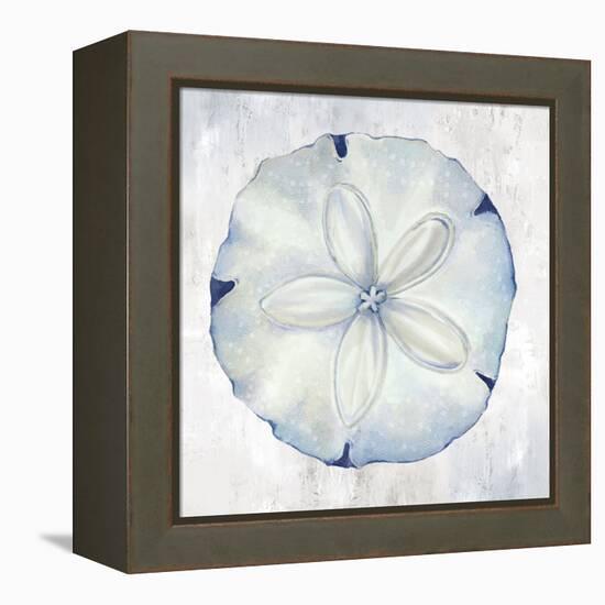 Blue Sand Dollar-Eli Jones-Framed Stretched Canvas