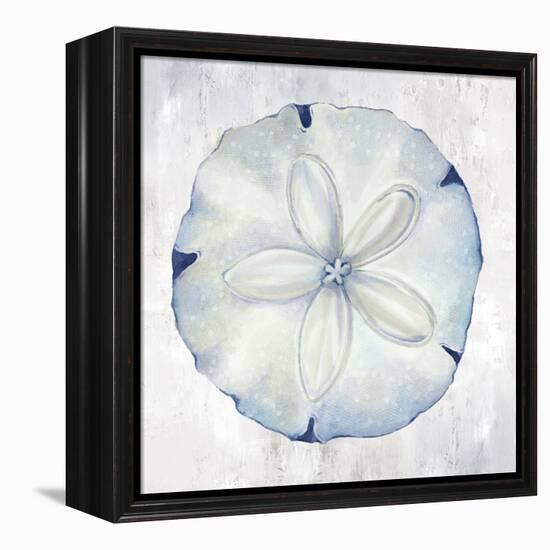 Blue Sand Dollar-Eli Jones-Framed Stretched Canvas