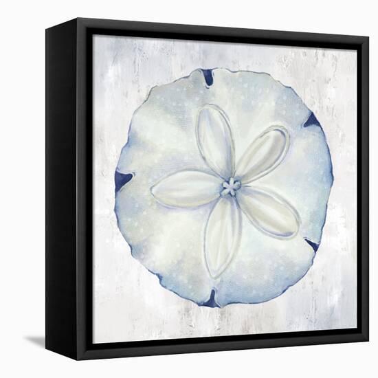 Blue Sand Dollar-Eli Jones-Framed Stretched Canvas