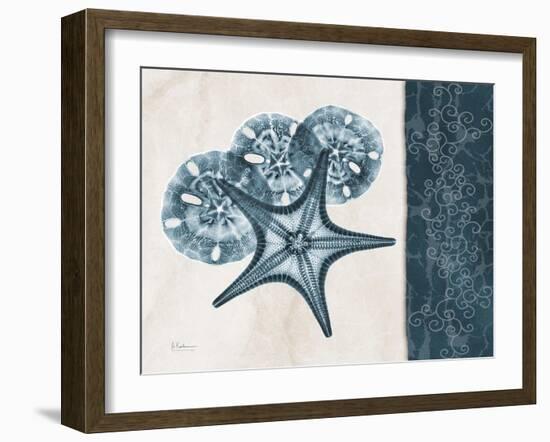 Blue Scroll Starfish 1-Albert Koetsier-Framed Art Print