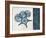 Blue Scroll Starfish 1-Albert Koetsier-Framed Art Print