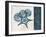 Blue Scroll Starfish 1-Albert Koetsier-Framed Art Print