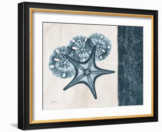 Blue Scroll Starfish 1-Albert Koetsier-Framed Art Print