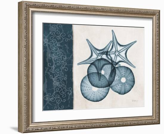 Blue Scroll Starfish 2-Albert Koetsier-Framed Art Print