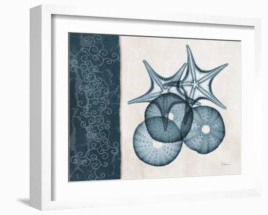 Blue Scroll Starfish 2-Albert Koetsier-Framed Art Print