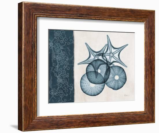 Blue Scroll Starfish 2-Albert Koetsier-Framed Art Print