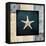 Blue Sea Bumpy Star-LightBoxJournal-Framed Premier Image Canvas