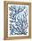 Blue Sea Coral II-Aimee Wilson-Framed Stretched Canvas