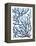 Blue Sea Coral II-Aimee Wilson-Framed Stretched Canvas