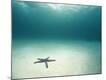 Premium Photographic Print