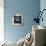 Blue Sea Starfish-LightBoxJournal-Premium Giclee Print displayed on a wall