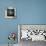 Blue Sea Starfish-LightBoxJournal-Premium Giclee Print displayed on a wall
