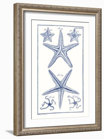 Blue Sea Stars I-Vision Studio-Framed Art Print