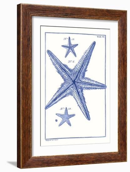 Blue Sea Stars III-Vision Studio-Framed Art Print