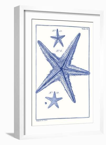 Blue Sea Stars III-Vision Studio-Framed Art Print