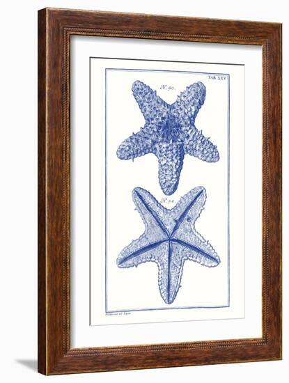 Blue Sea Stars IV-Vision Studio-Framed Art Print