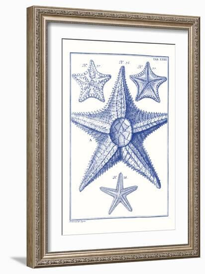 Blue Sea Stars VI-Vision Studio-Framed Art Print