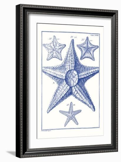 Blue Sea Stars VI-Vision Studio-Framed Art Print