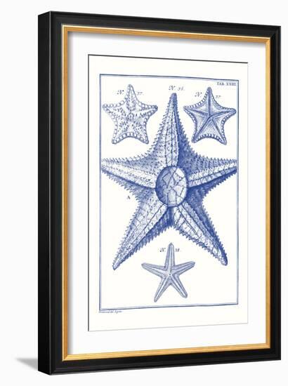 Blue Sea Stars VI-Vision Studio-Framed Art Print