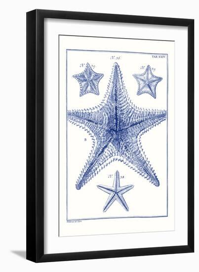 Blue Sea Stars VIII-Vision Studio-Framed Art Print