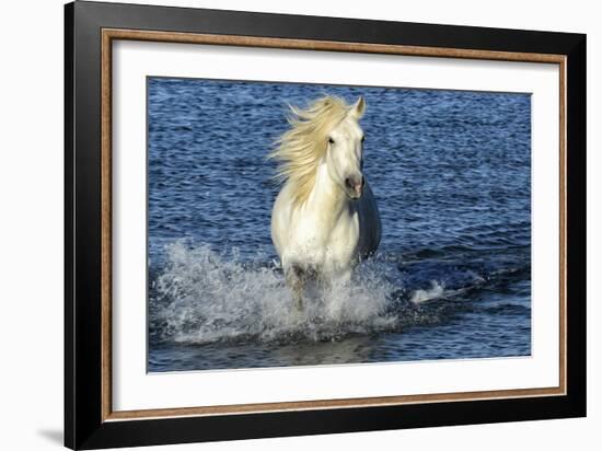 Blue Sea-PH Burchett-Framed Photographic Print