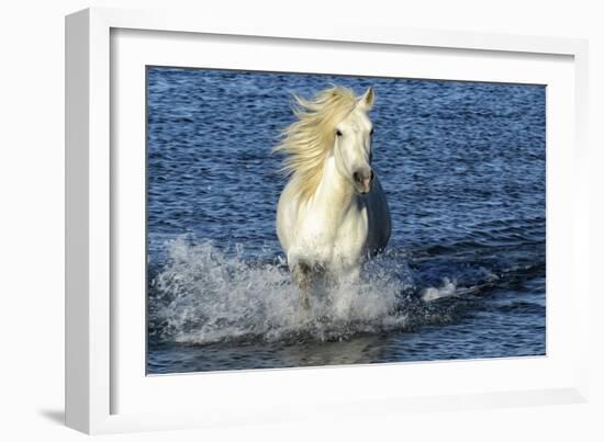 Blue Sea-PH Burchett-Framed Photographic Print