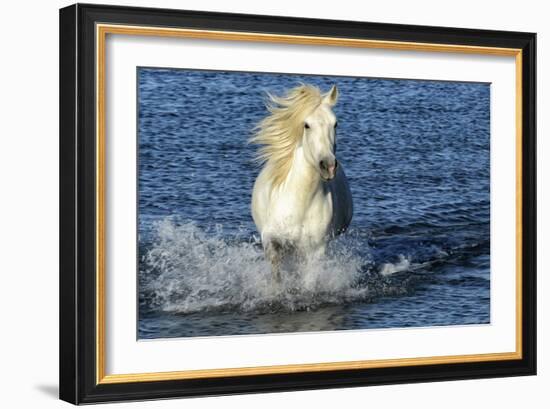 Blue Sea-PH Burchett-Framed Photographic Print