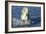 Blue Sea-PH Burchett-Framed Photographic Print