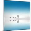 Blue Season-Philippe Sainte-Laudy-Mounted Photographic Print