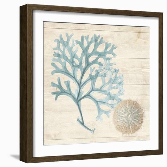 Blue Seaweed I-Susan Arnot-Framed Art Print