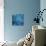 Blue Serenity-Delphine Devos-Photographic Print displayed on a wall