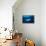 Blue shark and Pilot fish, Pico Island, Azores, Portugal-Franco Banfi-Framed Premier Image Canvas displayed on a wall