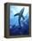 Blue Shark (Prionace Glauca) in the Azores, Portugal, Atlantic, Europe-Mark Harding-Framed Premier Image Canvas