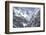 Blue Sheep (Pseudois Nayaur) Hemis National Park, Jammu and Kashmir, India-Wim van den Heever-Framed Photographic Print