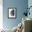 Blue Shell III-Lanie Loreth-Framed Art Print displayed on a wall