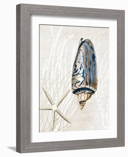 Blue Shell Series I-Aimee Wilson-Framed Art Print