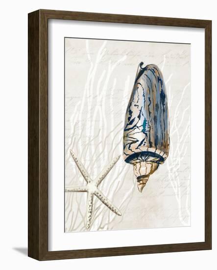 Blue Shell Series I-Aimee Wilson-Framed Art Print