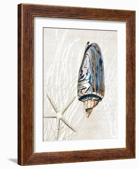 Blue Shell Series I-Aimee Wilson-Framed Art Print