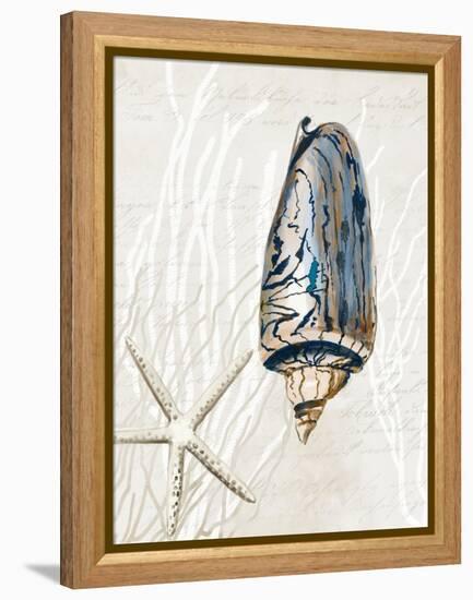 Blue Shell Series I-Aimee Wilson-Framed Stretched Canvas