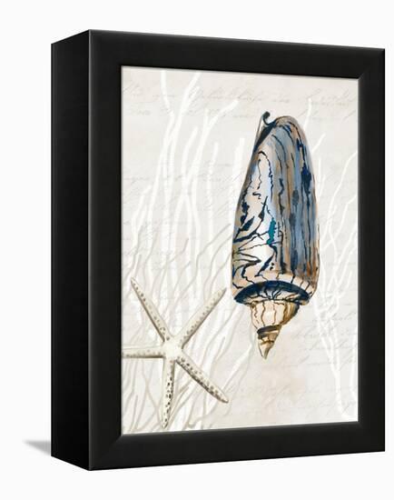 Blue Shell Series I-Aimee Wilson-Framed Stretched Canvas