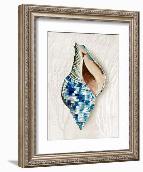 Blue Shell Series II-Aimee Wilson-Framed Art Print