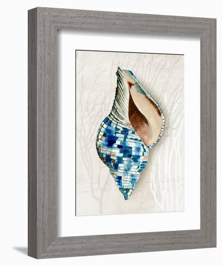 Blue Shell Series II-Aimee Wilson-Framed Art Print