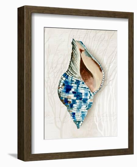 Blue Shell Series II-Aimee Wilson-Framed Art Print