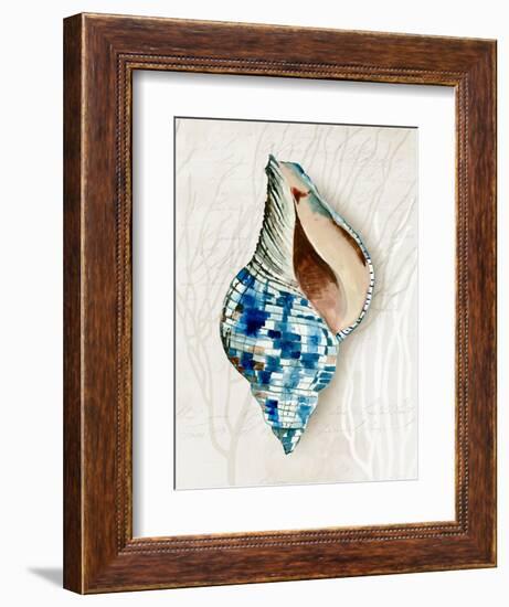 Blue Shell Series II-Aimee Wilson-Framed Art Print