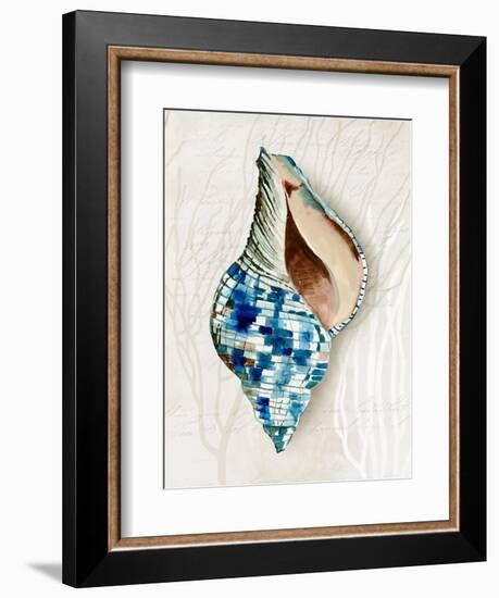 Blue Shell Series II-Aimee Wilson-Framed Art Print