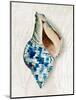 Blue Shell Series II-Aimee Wilson-Mounted Art Print