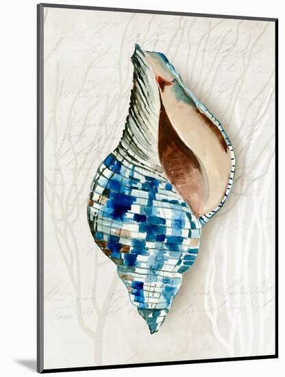 Blue Shell Series II-Aimee Wilson-Mounted Art Print